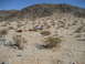 KOH 2012 031.JPG